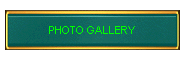 PHOTO GALLERY