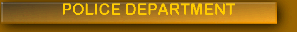 POLICE DEPARTMENT