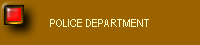 POLICE DEPARTMENT